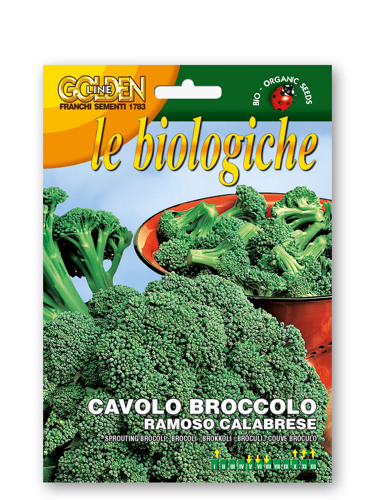 Brocoli vert de Calabria