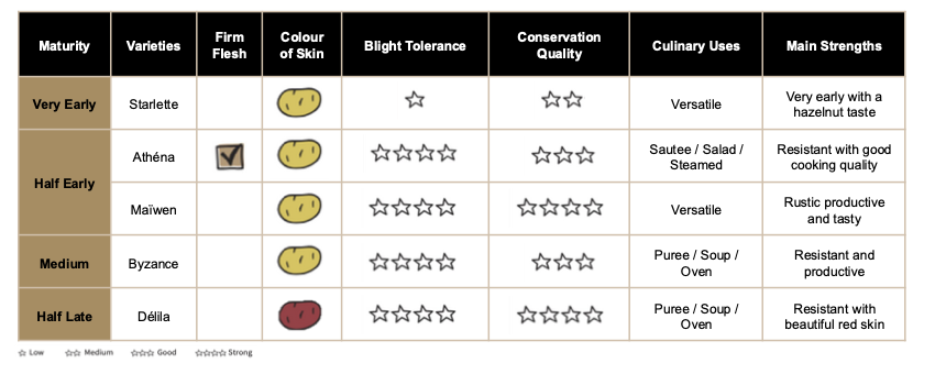 Organic Seed Potato 'Maïwen' - Green's of Ireland Online Garden Shop. , Greens of Ireland, Daffodil Bulbs, Tulip Bulbs, Crocus Bulbs, Autumn Bulbs, Bulbs, Cheap Bulbs
