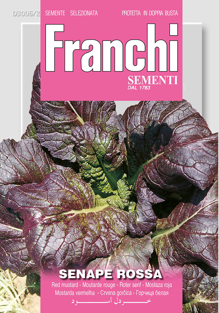 Red mustard senape rossa - Green's of Ireland Online Garden Shop. Vegetable Seeds, Franchi, Daffodil Bulbs, Tulip Bulbs, Crocus Bulbs, Autumn Bulbs, Bulbs, Cheap Bulbs