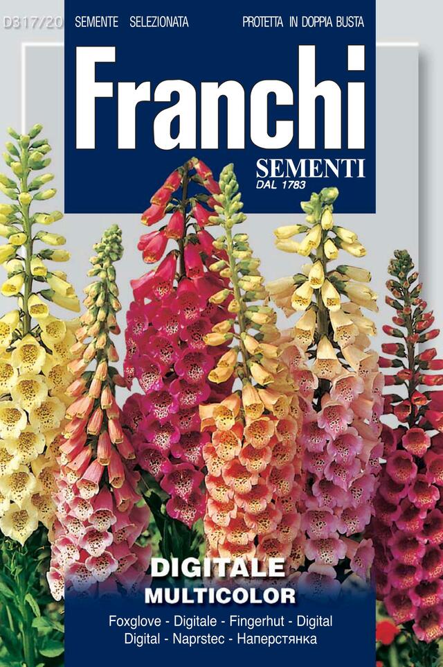 Flowers Seed Foxglove Digitale multicolor - Green's of Ireland Online Garden Shop. Vegetable Seeds, Franchi, Daffodil Bulbs, Tulip Bulbs, Crocus Bulbs, Autumn Bulbs, Bulbs, Cheap Bulbs