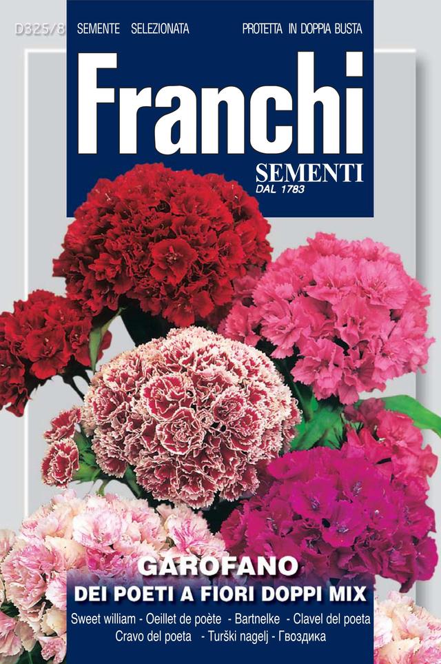 Flowers Seed Double sweet William - Green's of Ireland Online Garden Shop. Vegetable Seeds, Franchi, Daffodil Bulbs, Tulip Bulbs, Crocus Bulbs, Autumn Bulbs, Bulbs, Cheap Bulbs