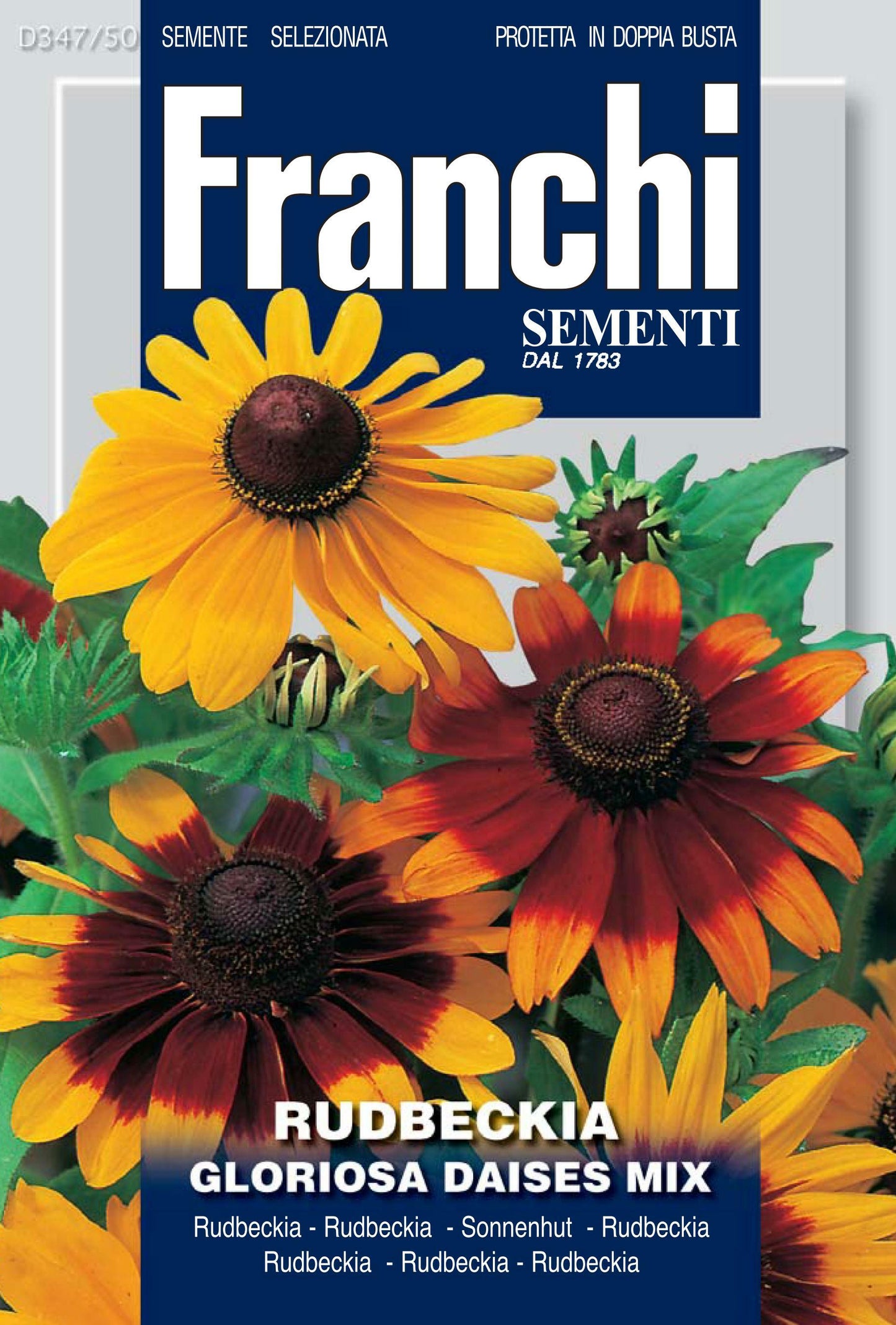 Flowers Seed 'Black Eyed Susan' - Green's of Ireland Online Garden Shop. Vegetable Seeds, Franchi, Daffodil Bulbs, Tulip Bulbs, Crocus Bulbs, Autumn Bulbs, Bulbs, Cheap Bulbs