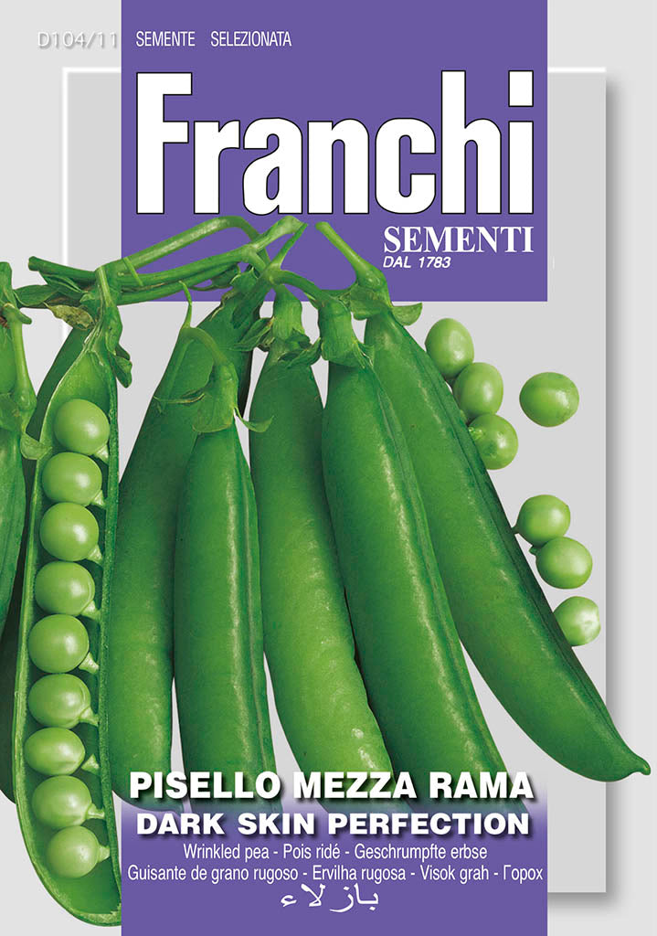 Wrinkled broad bean pea 'Pisello Mezza rama' - Green's of Ireland Online Garden Shop. Vegetable Seeds, Franchi, Daffodil Bulbs, Tulip Bulbs, Crocus Bulbs, Autumn Bulbs, Bulbs, Cheap Bulbs