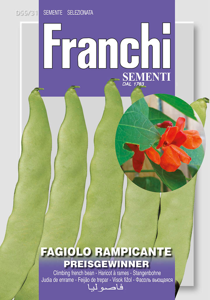 Climbing French Beans 'Preisgewinner' - Green's of Ireland Online Garden Shop. Vegetable Seeds, Franchi, Daffodil Bulbs, Tulip Bulbs, Crocus Bulbs, Autumn Bulbs, Bulbs, Cheap Bulbs