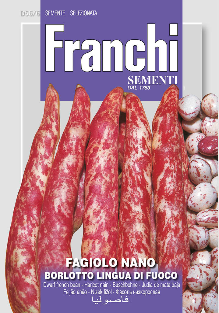 Dwarf French Beans lingua de Fuoco' - Green's of Ireland Online Garden Shop. Vegetable Seeds, Franchi, Daffodil Bulbs, Tulip Bulbs, Crocus Bulbs, Autumn Bulbs, Bulbs, Cheap Bulbs