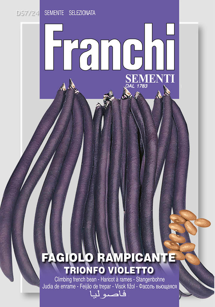 Dwarf French Bean 'Purple King' - Green's of Ireland Online Garden Shop. Vegetable Seeds, Franchi, Daffodil Bulbs, Tulip Bulbs, Crocus Bulbs, Autumn Bulbs, Bulbs, Cheap Bulbs