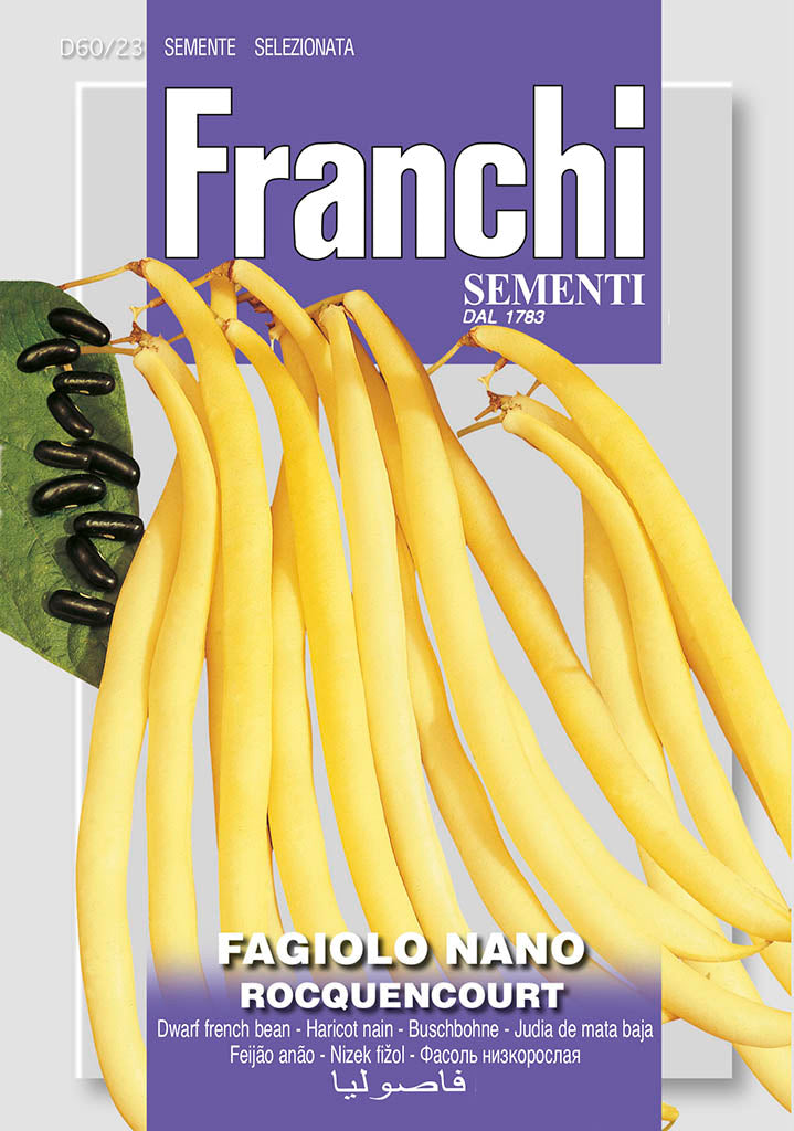 Dwarf French Bean 'Rocquencourt' - Green's of Ireland Online Garden Shop. Vegetable Seeds, Franchi, Daffodil Bulbs, Tulip Bulbs, Crocus Bulbs, Autumn Bulbs, Bulbs, Cheap Bulbs