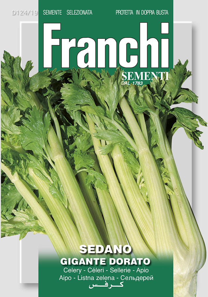 Celery 'Gigante Dorato' - Green's of Ireland Online Garden Shop. Vegetable Seeds, Franchi, Daffodil Bulbs, Tulip Bulbs, Crocus Bulbs, Autumn Bulbs, Bulbs, Cheap Bulbs