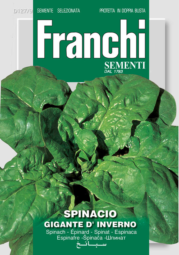 Spinach  Winter Giant  - Green's of Ireland Online Garden Shop.  Vegetable Seeds, Franchi, Daffodil Bulbs, Tulip Bulbs, Crocus Bulbs, Autumn Bulbs, Bulbs, Cheap Bulbs