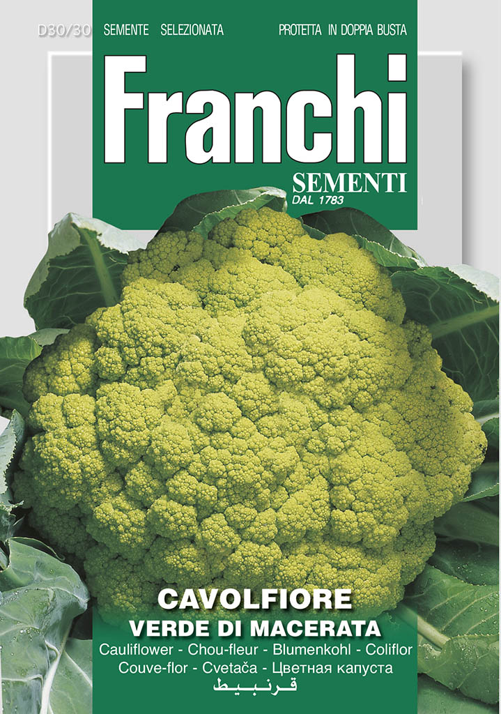 Cauliflower of Macerata - Green's of Ireland Online Garden Shop. Vegetable Seeds, Franchi, Daffodil Bulbs, Tulip Bulbs, Crocus Bulbs, Autumn Bulbs, Bulbs, Cheap Bulbs
