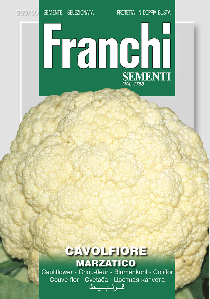 Cauliflower Gigante Di Napoli Marzatico - Green's of Ireland Online Garden Shop. Vegetable Seeds, Franchi, Daffodil Bulbs, Tulip Bulbs, Crocus Bulbs, Autumn Bulbs, Bulbs, Cheap Bulbs