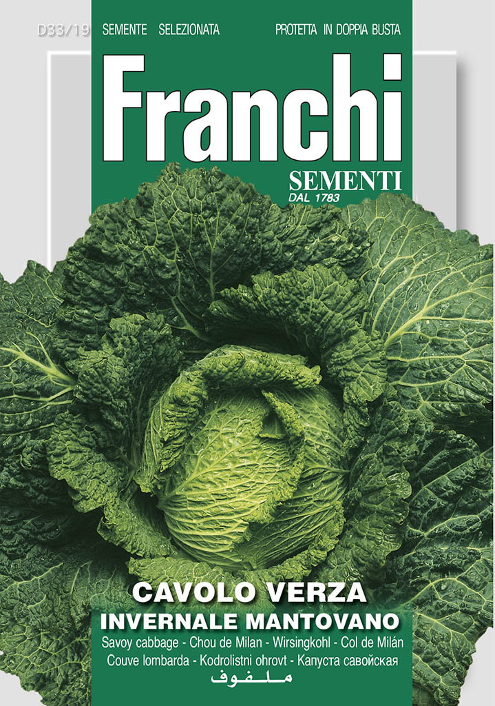 Savoy Cabbage Of Mantova - Green's of Ireland Online Garden Shop. Vegetable Seeds, Franchi, Daffodil Bulbs, Tulip Bulbs, Crocus Bulbs, Autumn Bulbs, Bulbs, Cheap Bulbs