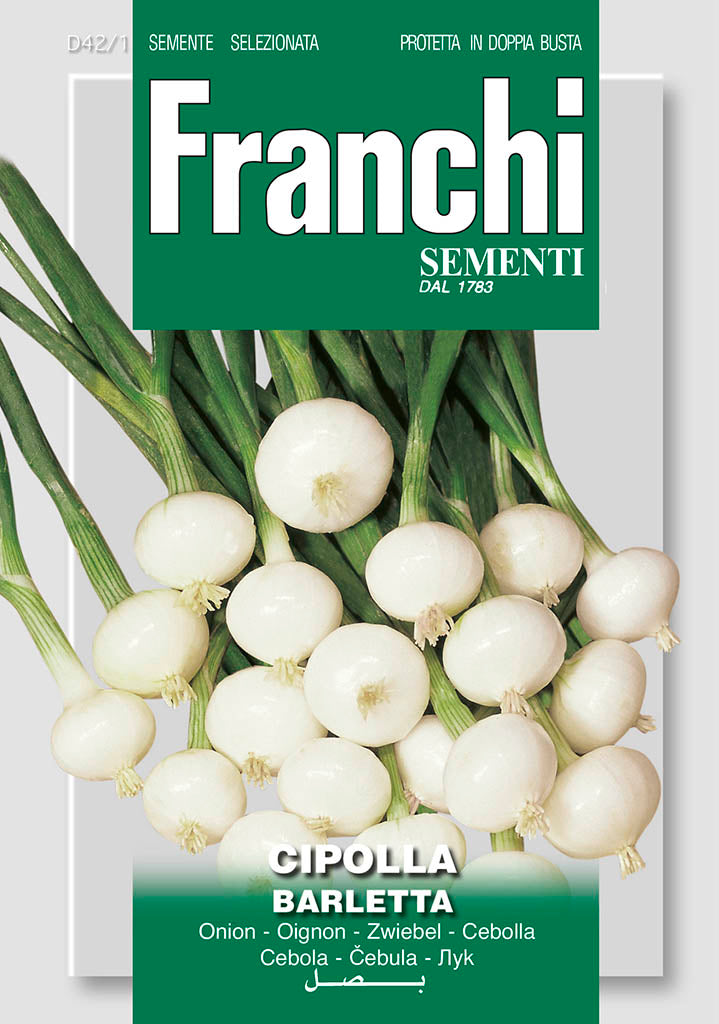 White Salad Onion Barletta - Green's of Ireland Online Garden Shop. Vegetable Seeds, Franchi, Daffodil Bulbs, Tulip Bulbs, Crocus Bulbs, Autumn Bulbs, Bulbs, Cheap Bulbs