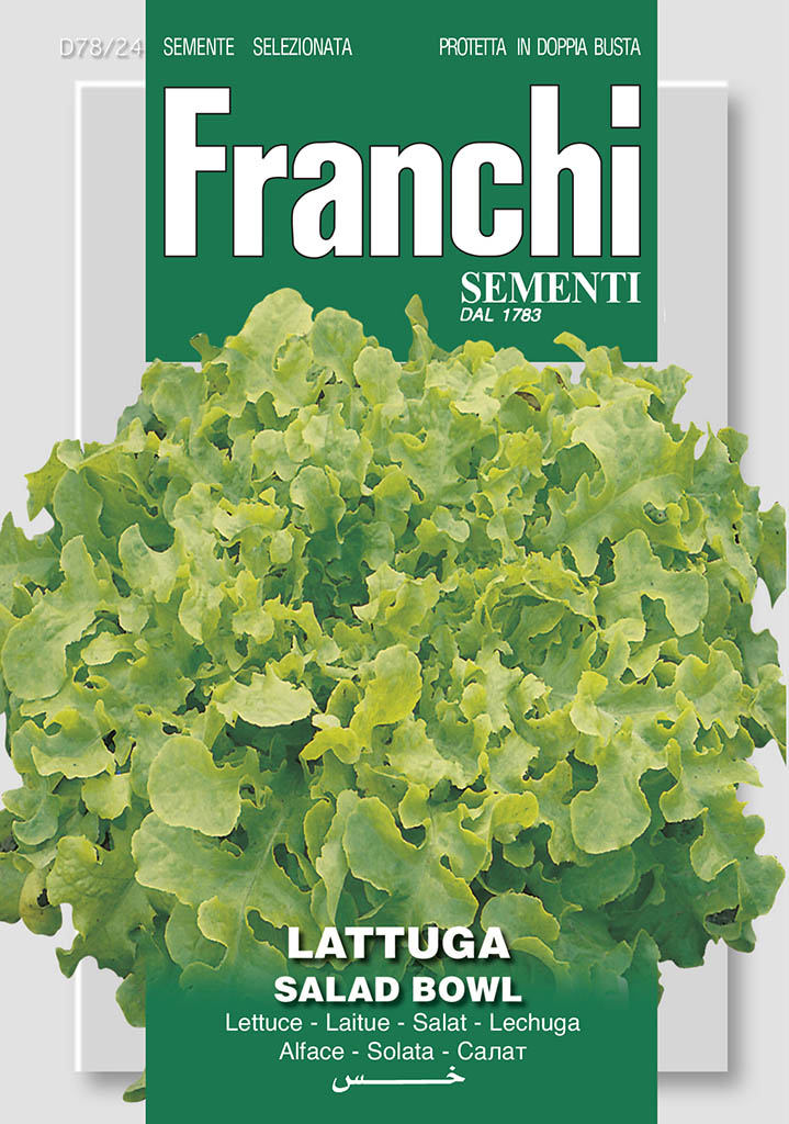 LettuceSalad Bowl - Green's of Ireland Online Garden Shop. Vegetable Seeds, Franchi, Daffodil Bulbs, Tulip Bulbs, Crocus Bulbs, Autumn Bulbs, Bulbs, Cheap Bulbs