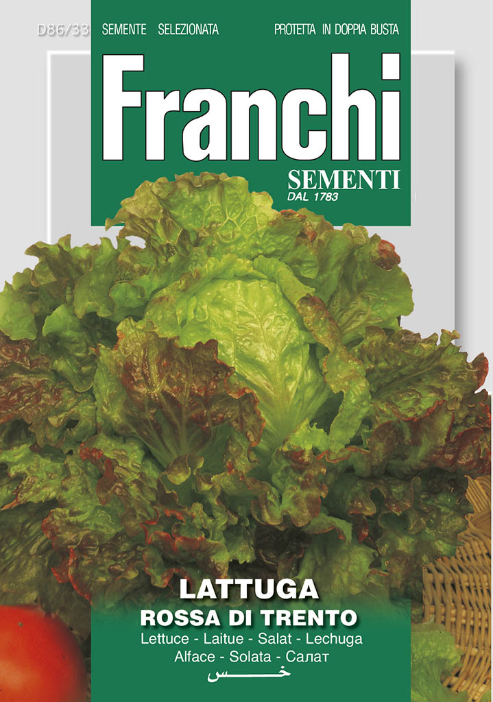 Lettuce Rossa Di Trento - Green's of Ireland Online Garden Shop. Vegetable Seeds, Franchi, Daffodil Bulbs, Tulip Bulbs, Crocus Bulbs, Autumn Bulbs, Bulbs, Cheap Bulbs