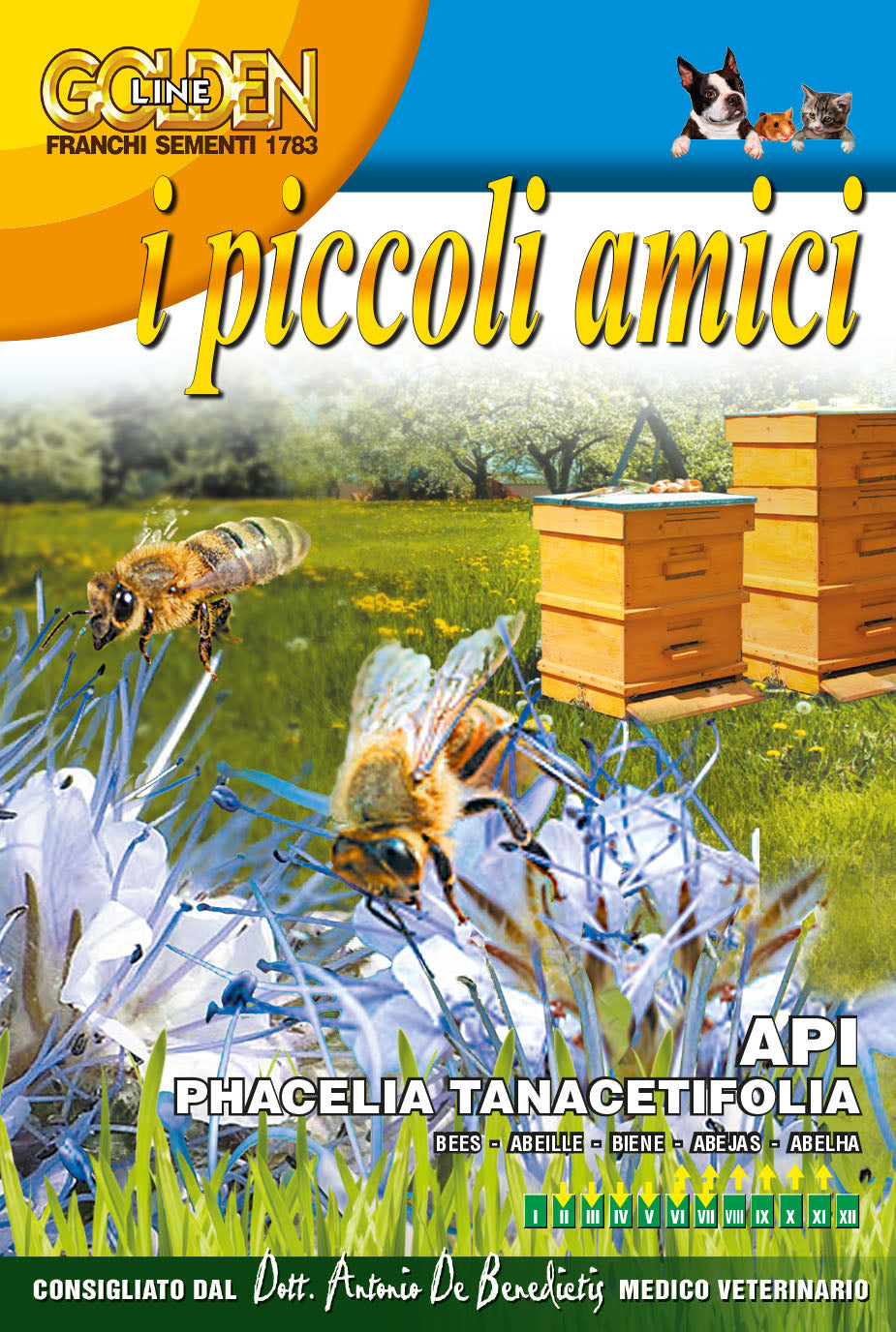 Flowers Seed Phacelia for Bees Small - Green's of Ireland Online Garden Shop. Vegetable Seeds, Franchi, Daffodil Bulbs, Tulip Bulbs, Crocus Bulbs, Autumn Bulbs, Bulbs, Cheap Bulbs