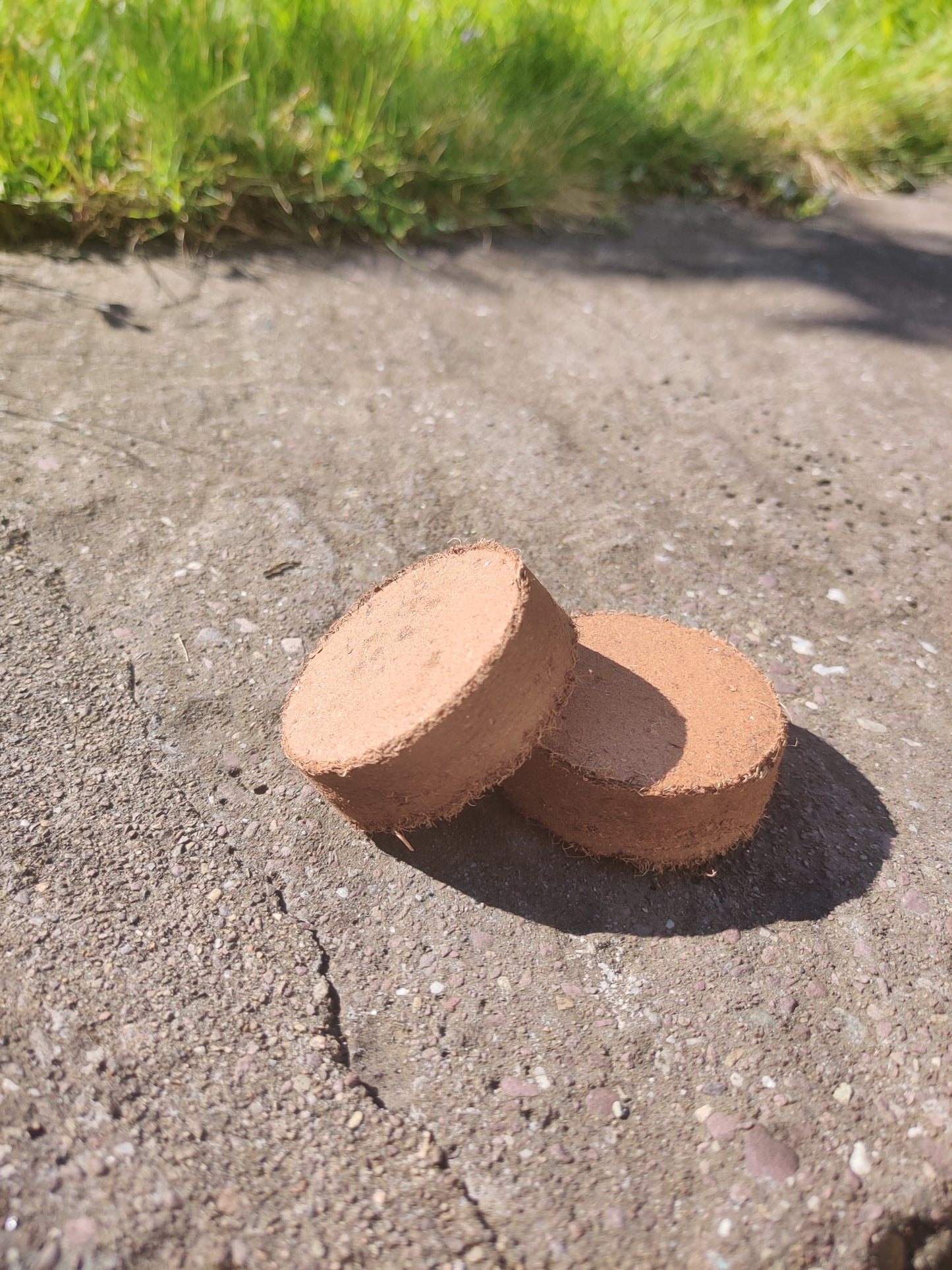 Compressed compost tablets - Green's of Ireland Online Garden Shop. , Romberg, Daffodil Bulbs, Tulip Bulbs, Crocus Bulbs, Autumn Bulbs, Bulbs, Cheap Bulbs