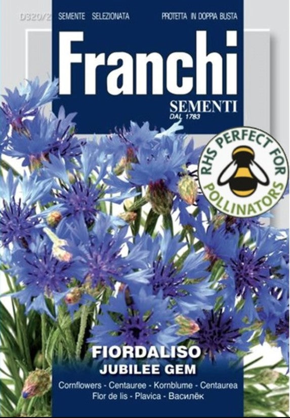 Flowers Seed Cornflower Blu - Green's of Ireland Online Garden Shop. Vegetable Seeds, Franchi, Daffodil Bulbs, Tulip Bulbs, Crocus Bulbs, Autumn Bulbs, Bulbs, Cheap Bulbs