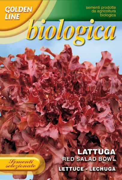 Organic Lettuce Red Salad Bowl - Green's of Ireland Online Garden Shop. Vegetable Seeds, Franchi, Daffodil Bulbs, Tulip Bulbs, Crocus Bulbs, Autumn Bulbs, Bulbs, Cheap Bulbs