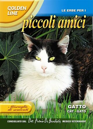 Catnip - Green's of Ireland Online Garden Shop. Vegetable Seeds, Franchi, Daffodil Bulbs, Tulip Bulbs, Crocus Bulbs, Autumn Bulbs, Bulbs, Cheap Bulbs