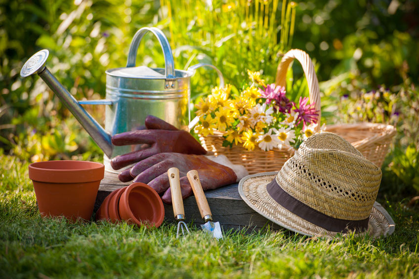 Mastering Bulb Planting: Tips and Tricks for Blooming Success