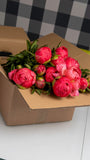 Irish Grown Peonies <p>Red Sarah Bernard</p> - Green's of Ireland Online Garden Shop.  Cut Flowers, Killowen Orchard, Daffodil Bulbs, Tulip Bulbs, Crocus Bulbs, Autumn Bulbs, Bulbs, Cheap Bulbs