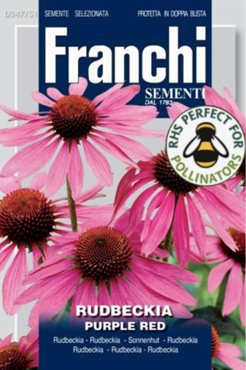 Flowers Seed Rudbeckia Purple Red