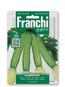 Courgette 'Fiorentino'