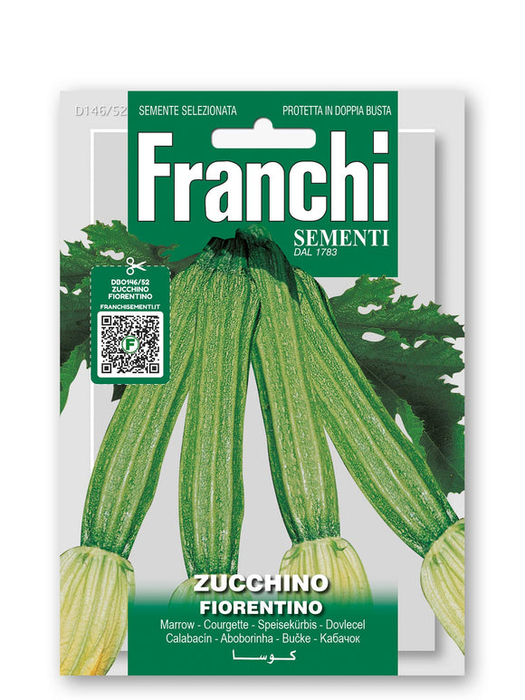 Courgette 'Fiorentino'