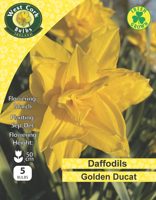 Double Daffodils Golden Ducat - Green's of Ireland Online Garden Shop.  Flower Bulbs, West Cork Bulbs, Daffodil Bulbs, Tulip Bulbs, Crocus Bulbs, Autumn Bulbs, Bulbs, Cheap Bulbs