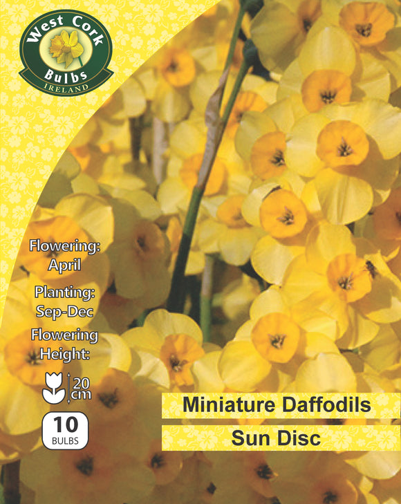 Daffodil Sun Disc