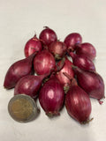 Spring Onion Sets Red Baron - Green's of Ireland Online Garden Shop.  Onion Sets, West Cork Bulbs, Daffodil Bulbs, Tulip Bulbs, Crocus Bulbs, Autumn Bulbs, Bulbs, Cheap Bulbs