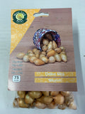 Spring Onion Sets Sturon - Green's of Ireland Online Garden Shop.  Onion Sets, West Cork Bulbs, Daffodil Bulbs, Tulip Bulbs, Crocus Bulbs, Autumn Bulbs, Bulbs, Cheap Bulbs