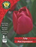 Single Tulip Red Impression