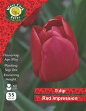 Single Tulip Red Impression