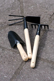 3pc gift set - Green's of Ireland Online Garden Shop.  Tools, Avergon, Daffodil Bulbs, Tulip Bulbs, Crocus Bulbs, Autumn Bulbs, Bulbs, Cheap Bulbs