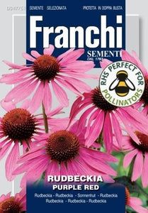 Flowers Seed Rudbeckia Purple red - Green's of Ireland Online Garden Shop.  Vegetable Seeds, Franchi, Daffodil Bulbs, Tulip Bulbs, Crocus Bulbs, Autumn Bulbs, Bulbs, Cheap Bulbs