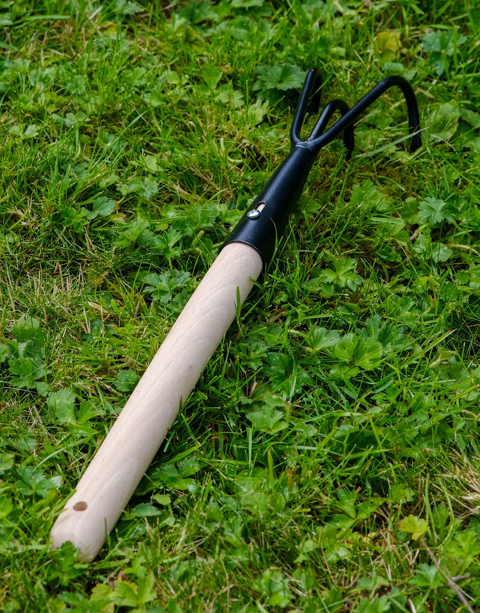 Cultivator - Green's of Ireland Online Garden Shop.  Tools, Avergon, Daffodil Bulbs, Tulip Bulbs, Crocus Bulbs, Autumn Bulbs, Bulbs, Cheap Bulbs