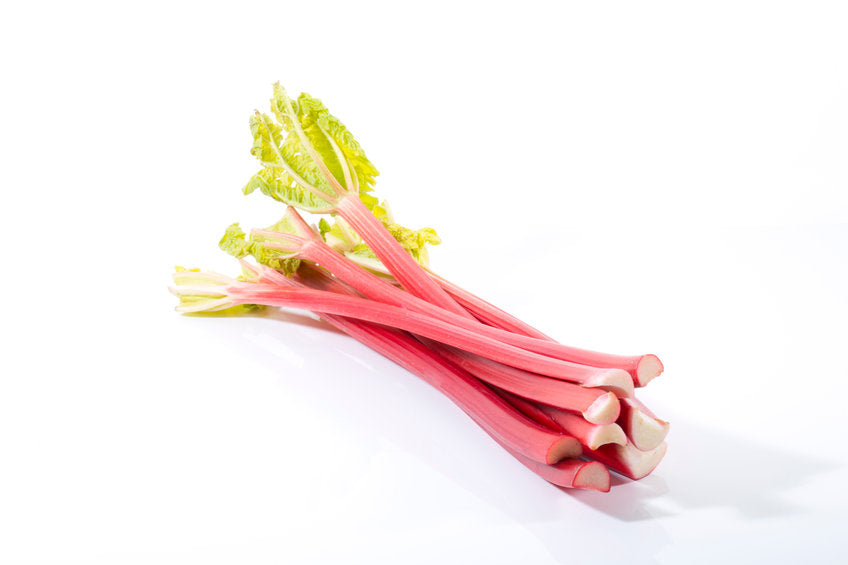 Rhubarb 'Holsteiner Blut'