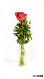 Irish Grown Peonies <p>Red Sarah Bernard</p> - Green's of Ireland Online Garden Shop.  Cut Flowers, Killowen Orchard, Daffodil Bulbs, Tulip Bulbs, Crocus Bulbs, Autumn Bulbs, Bulbs, Cheap Bulbs