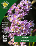 Allium Roseum - Green's of Ireland Online Garden Shop. Allium, West Cork Bulbs, Daffodil Bulbs, Tulip Bulbs, Crocus Bulbs, Autumn Bulbs, Bulbs, Cheap Bulbs