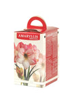Amaryllis Apple Blossom - Green's of Ireland Online Garden Shop.  Amaryllis, West Cork Bulbs, Daffodil Bulbs, Tulip Bulbs, Crocus Bulbs, Autumn Bulbs, Bulbs, Cheap Bulbs
