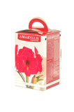 Amaryllis Red Lion - Green's of Ireland Online Garden Shop.  Amaryllis, West Cork Bulbs, Daffodil Bulbs, Tulip Bulbs, Crocus Bulbs, Autumn Bulbs, Bulbs, Cheap Bulbs