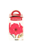Amaryllis Red Lion - Green's of Ireland Online Garden Shop.  Amaryllis, West Cork Bulbs, Daffodil Bulbs, Tulip Bulbs, Crocus Bulbs, Autumn Bulbs, Bulbs, Cheap Bulbs