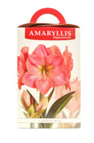 Amaryllis Double Dream - Green's of Ireland Online Garden Shop.  Amaryllis, West Cork Bulbs, Daffodil Bulbs, Tulip Bulbs, Crocus Bulbs, Autumn Bulbs, Bulbs, Cheap Bulbs