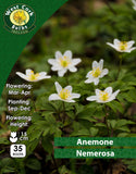 Anemone Nemorosa - Green's of Ireland Online Garden Shop. Anemones, West Cork Bulbs, Daffodil Bulbs, Tulip Bulbs, Crocus Bulbs, Autumn Bulbs, Bulbs, Cheap Bulbs