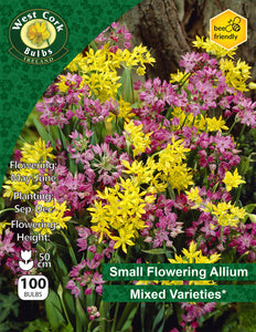 Allium Mixed - Green's of Ireland Online Garden Shop. Allium, West Cork Bulbs, Daffodil Bulbs, Tulip Bulbs, Crocus Bulbs, Autumn Bulbs, Bulbs, Cheap Bulbs