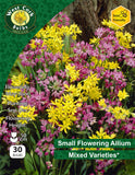 Allium Mixed - Green's of Ireland Online Garden Shop. Allium, West Cork Bulbs, Daffodil Bulbs, Tulip Bulbs, Crocus Bulbs, Autumn Bulbs, Bulbs, Cheap Bulbs