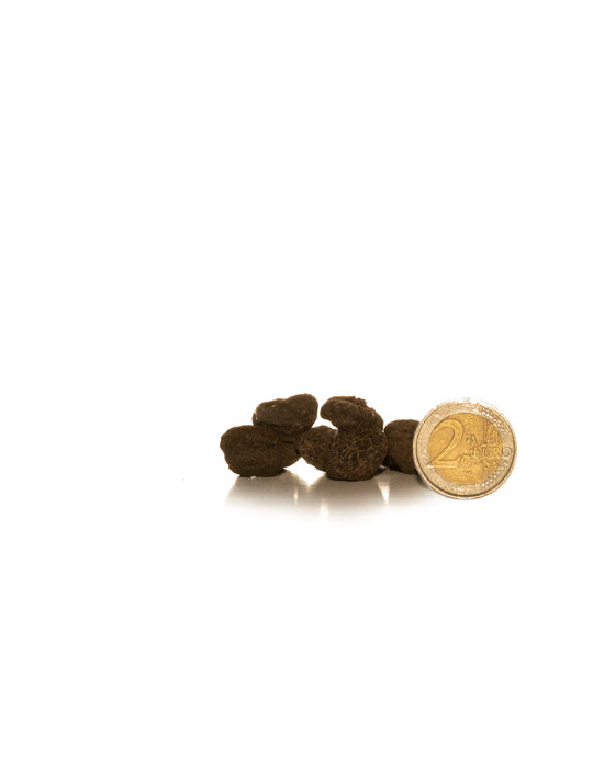 Single Anemone Mr. Fokker - Green's of Ireland Online Garden Shop.  Anemones, West Cork Bulbs, Daffodil Bulbs, Tulip Bulbs, Crocus Bulbs, Autumn Bulbs, Bulbs, Cheap Bulbs