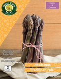 Asparagus 'Pacific Purple' - Green's of Ireland Online Garden Shop.  Flower Bulbs, West Cork Bulbs, Daffodil Bulbs, Tulip Bulbs, Crocus Bulbs, Autumn Bulbs, Bulbs, Cheap Bulbs